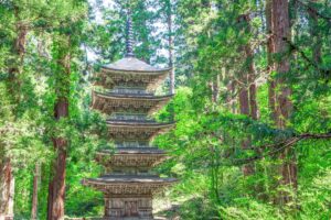 山形県の障害者雇用の事例を紹介する記事のトップ画像で、山形県を象徴する羽黒山の五重塔の写真です。