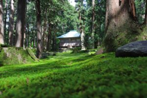 岩手県の障害者雇用の事例を紹介する記事のトップ画像で、岩手県を象徴する平泉の中尊寺本殿の写真です。